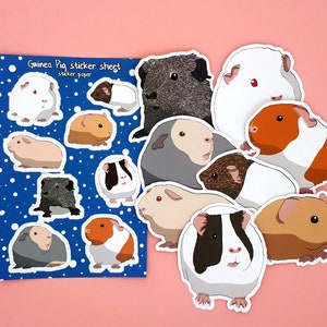 Meerschweinchensticker (Glatthaar) aus Vinyl in klein und groß für dein Bullet Journal, Planer, Scrapbook und viel mehr!
