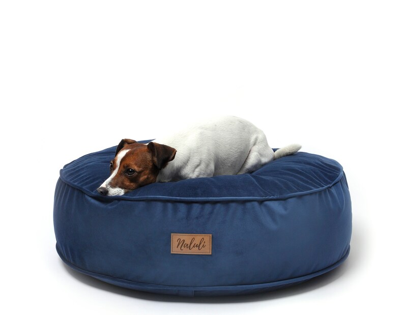 dog pouf bed