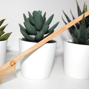 Bamboo Edge Brush and Comb