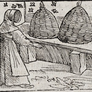 May include: A black and white illustration of a person wearing a beekeeper's suit and hat, tending to three beehives. The beehives are stacked on a wooden platform. Bees are flying around the beehives.