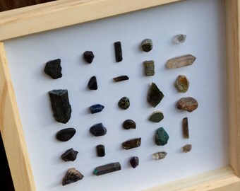 Fossil Shadow Box - Etsy