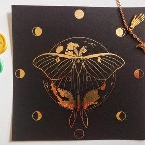luna moth and moon gold foil print