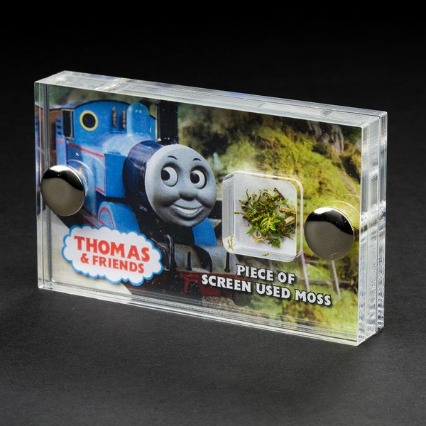 Thomas The Tank Engine - Section of Screen-Used Moss from Thomas & Friends mini display.