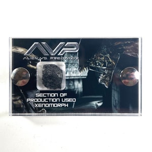 Alien vs Predator - Section of Production used Xenomorph mini display.