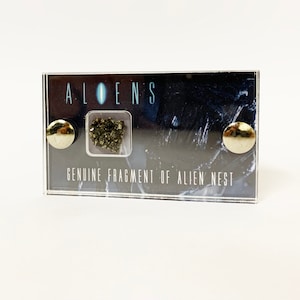 Aliens - Charred Alien Nest Screen Used section mini display with coa.-The Movie Reliquary.