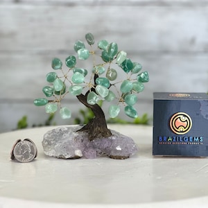 May include: Green aventurine gemstone tree with a wire frame and a base of amethyst crystals. The tree is on a white surface with a quarter for scale. The tree is packaged in a box with the logo "Brazilgems Genuine Gemstone Products".