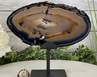 May include: A large, brown agate slice with a black band around the edge, displayed on a black stand. The agate has a natural, organic pattern with shades of brown, orange, and white.