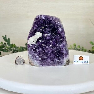 Small Extra Plus Quality Amethyst Cluster Flat Base, 5.8&quot; Tall #5611-0880 by Brazil Gems®