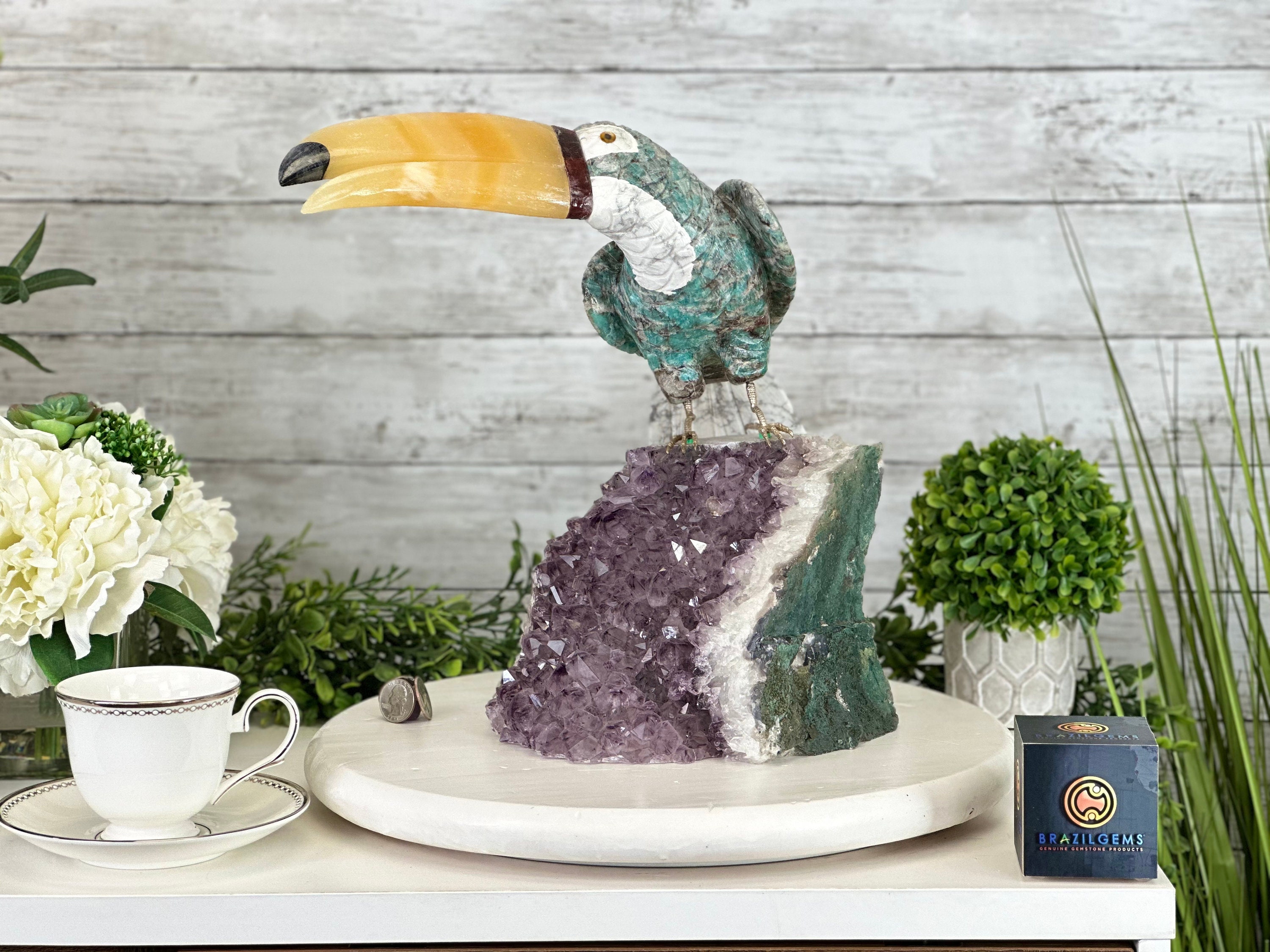 Brazil bird ブラジル バード アキツユコ Brazil bird ブラジルバード