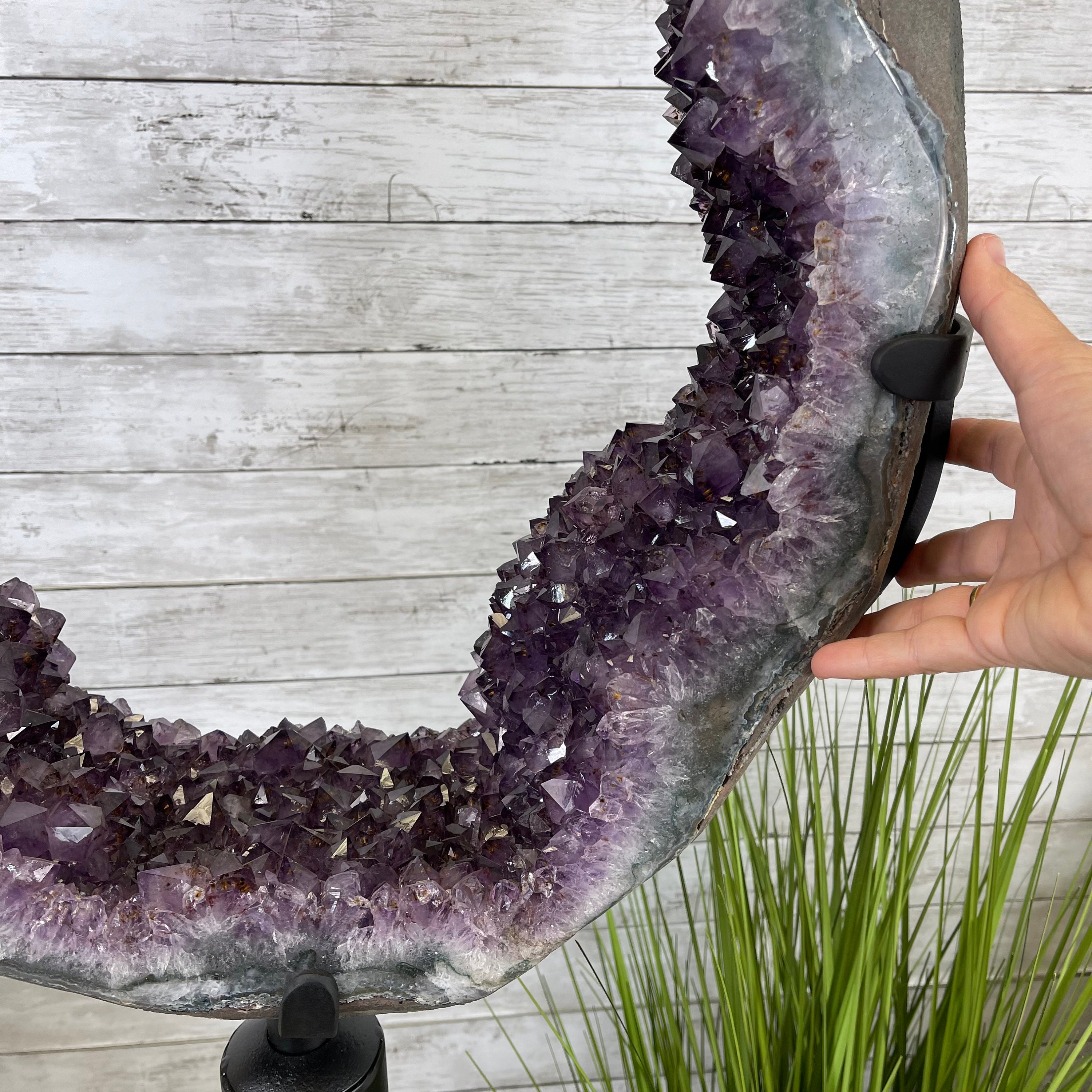 Extra Plus Quality Brazilian Amethyst Slice/ring on a Tall