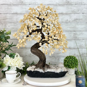 20&quot; Tall Citrine Gemstone Tree on an Amethyst Base, 540 gems #5406CI-019 by Brazil Gems