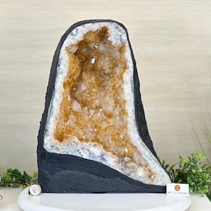 Extra Quality Citrine Cathedral, 41 lbs & 14.9&quot; Tall #5603-0397 by Brazil Gems®