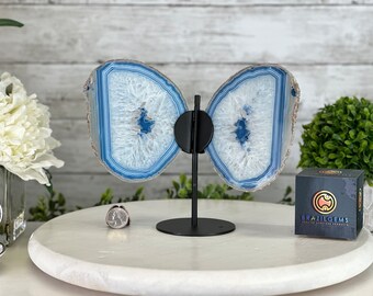 淡いピンクと青の蝶の羽アゲート - 割って研磨済み - Etsy 日本