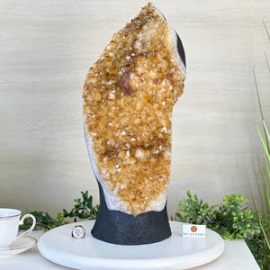 Extra Quality Citrine Cluster on Cement Base, 32.5 lbs and 18.9&quot; Tall #5615-0073 by Brazil Gems®