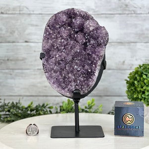 Quality Amethyst Cluster on a Metal Base, 10.1 lbs & 11&quot; Tall #5491-0045 by Brazil Gems®