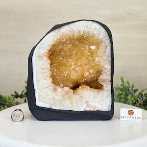 Extra Quality Citrine Cathedral, 16.5 lbs & 8.6&quot; Tall #5603-0376 by Brazil Gems®