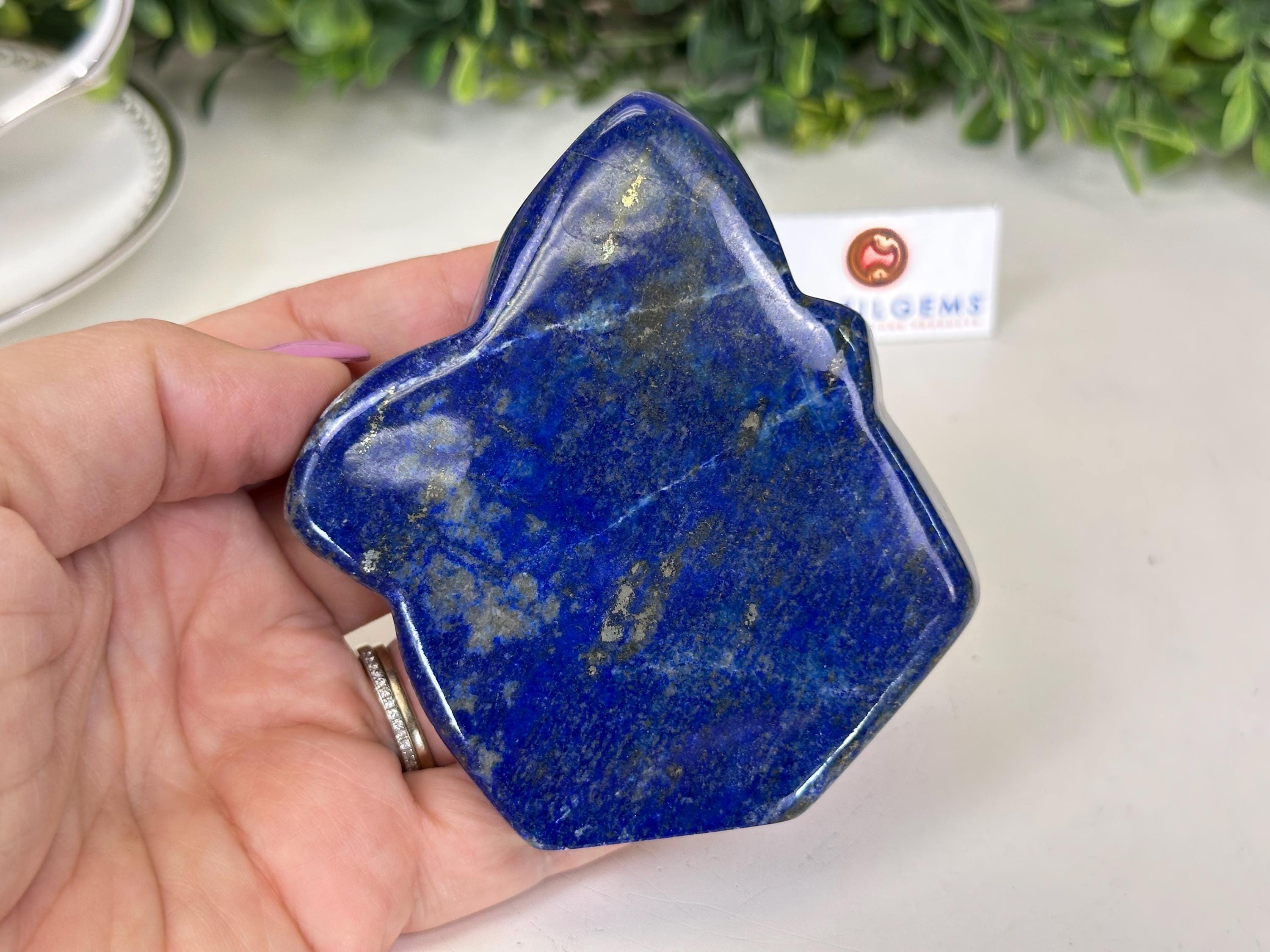 Polished Freeform Lapis Lazuli Palm Stone #3488LL-021 by Brazil