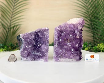 May include: Two raw amethyst crystal clusters with deep purple, faceted points. A silver-colored US quarter coin is placed to the left for scale, and a small white card with the text BRAZILGEMS is positioned to the right of the crystals.