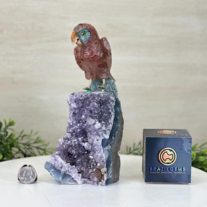 Handgeschnitzter Feuerquarz-Papagei auf einem Amethyst-Sockel, 22 cm hoch #3004-FQPAM-021 von Brasil Gems®