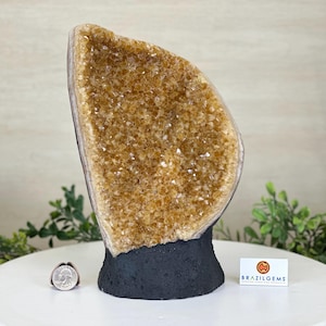 Extra Quality Citrine Cluster on Cement Base, 8.6 lbs and 10&quot; Tall #5615-0061 by Brazil Gems®