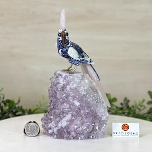 Large Hand-Carved Sodalite Cockatoo 8.3&quot; Long on an Amethyst Base #3004-SOCAM-047 by Brazil Gems®