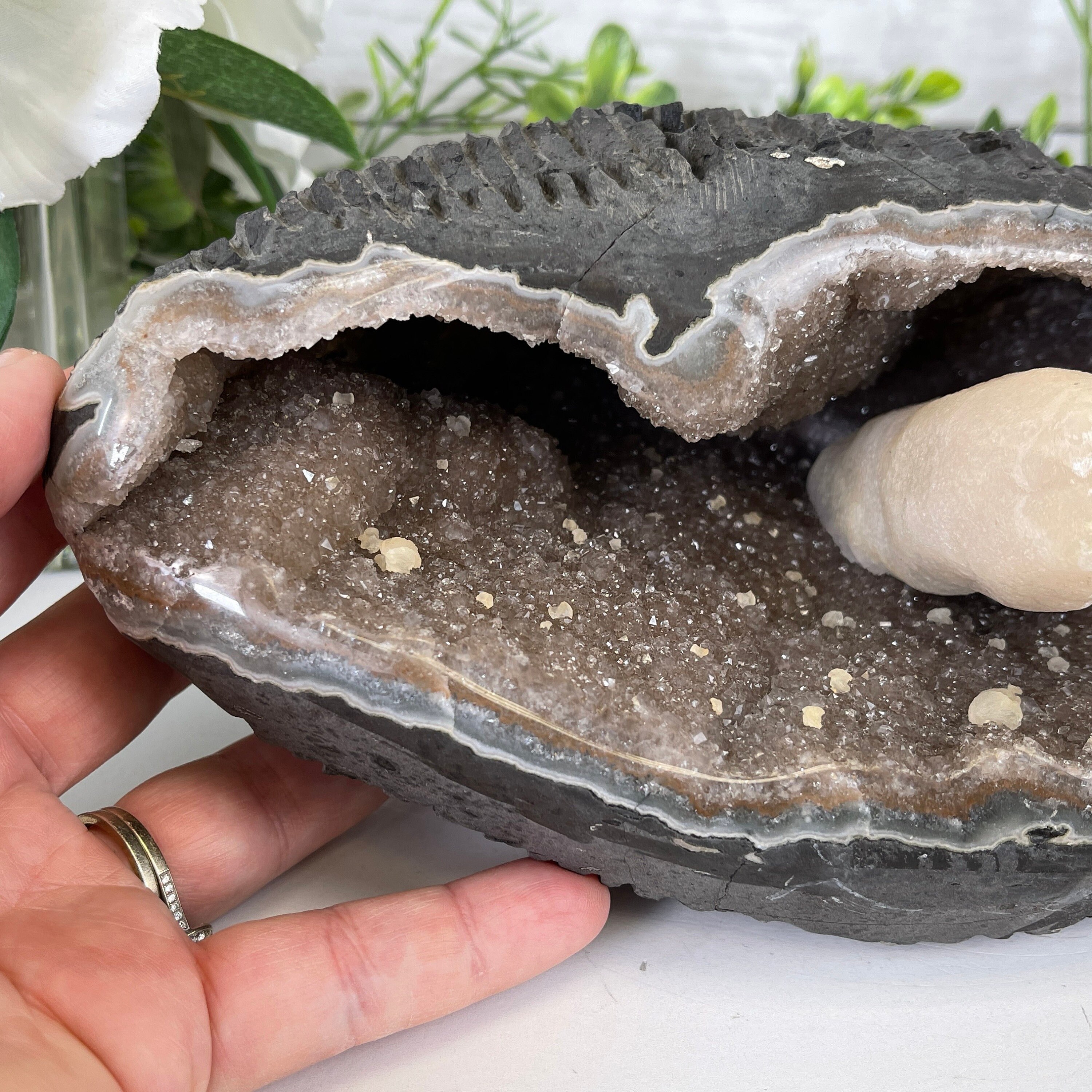 エクストラプラス品質のユニークなウルグアイ産アメジストジオード、高