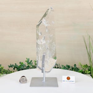 Può includere: Una tazza di ceramica bianca con manico nero e la scritta "But First, Coffee" in stile handwritten. La tazza contiene probabilmente 350 ml, perfetta per una bevanda mattutina.