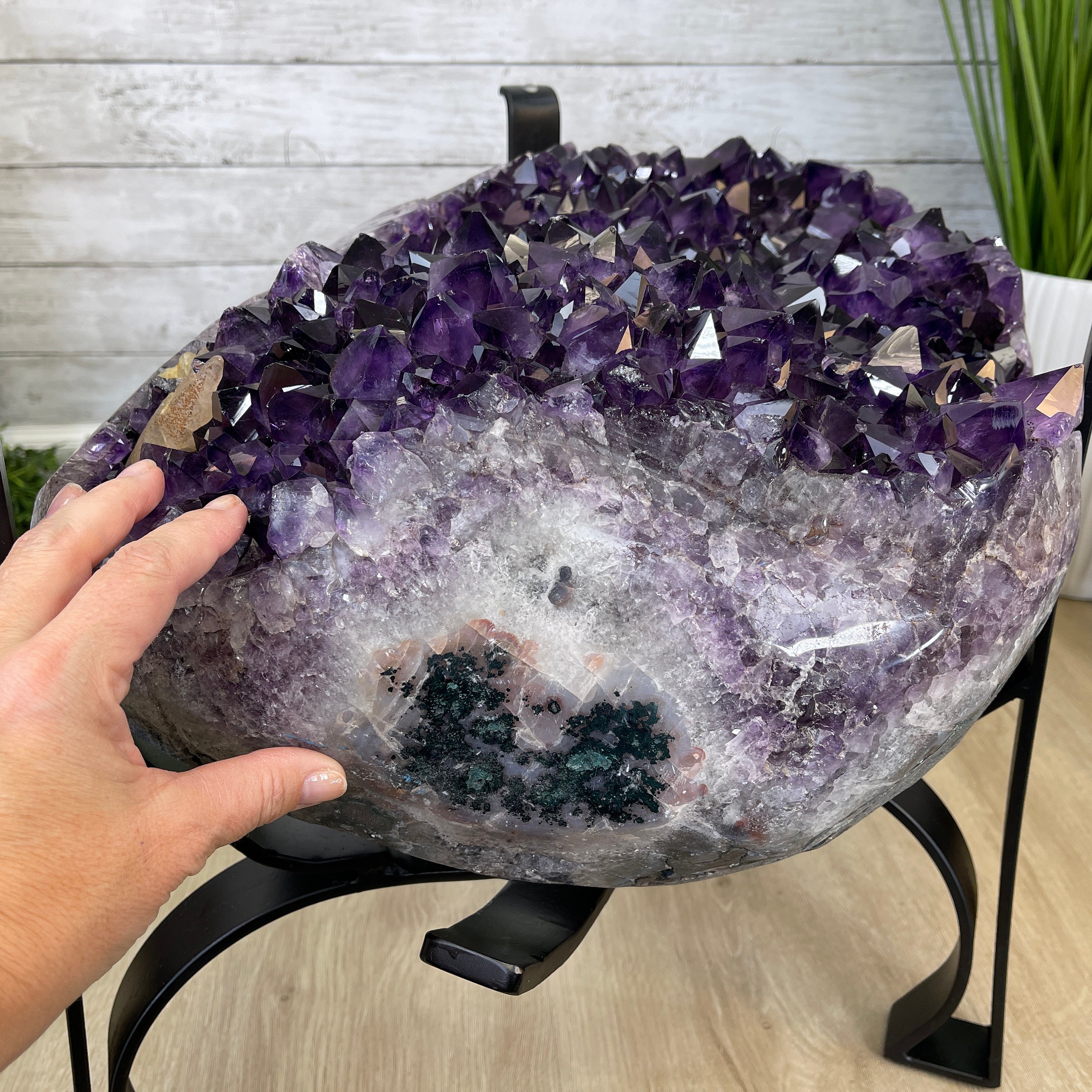 Starbucks Coffee - amethyst Extra Quality Brazilian Amethyst Coffee Table, 103.6 Lbs