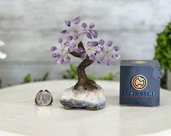 Amethyst 5" Tall Gemstone Tree | Crystal Bonsai Tree of Life | Healing Crystal Decor | Feng Shui Gift | Handmade Brazilian Gem Tree
