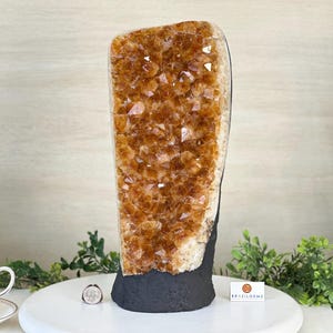 Extra Quality Citrine Cluster on Cement Base, 18.6 lbs and 14.9&quot; Tall #5615-0071 by Brazil Gems®