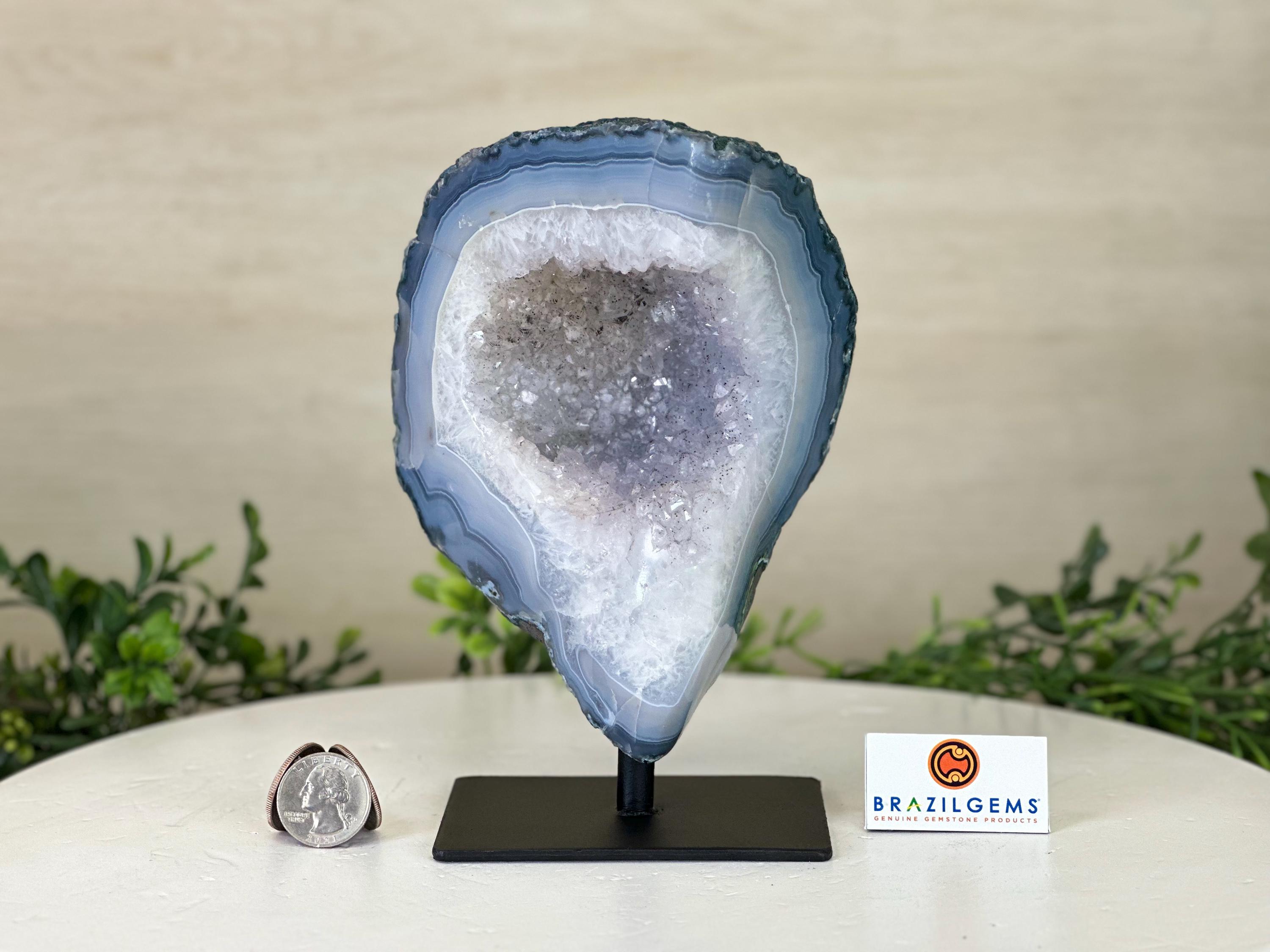 金属台座のアメジスト クラスター、3.9 ポンド、高さ 7.1 インチ #4491