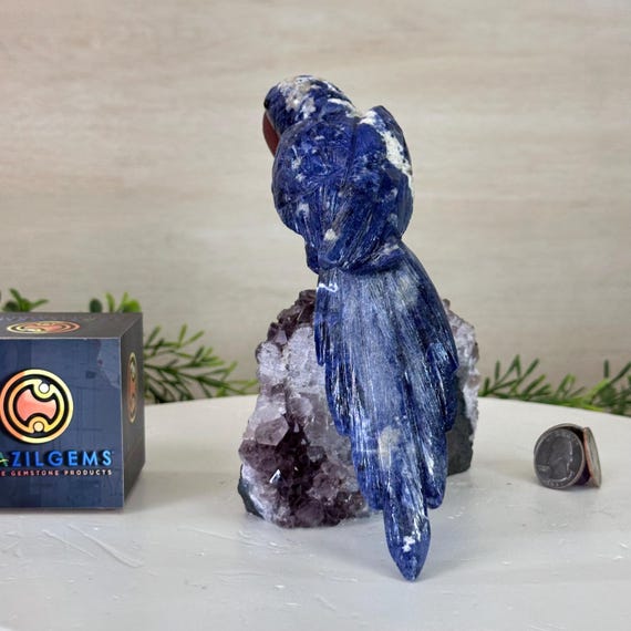 Large Hand-carved Sodalite Parrot on an Amethyst Base, 6.5