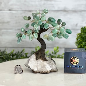 May include: Green Aventurine Crystal Tree on a white quartz base. The tree is made with wire and has a brown wooden trunk. The tree is about 6 inches tall. The base is about 4 inches wide. The tree is sitting on a white table. The image also includes a small box with the text "BRAZILGEMS" on it.