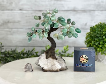 May include: Green Aventurine Crystal Tree on a white quartz base. The tree is made with wire and has a brown wooden trunk. The tree is about 6 inches tall. The base is about 4 inches wide. The tree is sitting on a white table. The image also includes a small box with the text "BRAZILGEMS" on it.