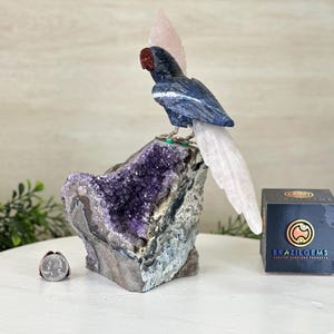Large Hand-Carved Sodalite Cockatoo w/ Amethyst Base, 9.3&quot; Tall #3004-SOCAM-045 by Brazil Gems®