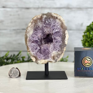 Amethyst Cluster on a Metal Base, 3.2 lbs & 6.3&quot; Tall #4491-0016 by Brazil Gems®