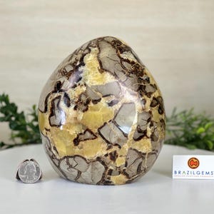 研磨済みフリーフォームセプタリアン宝石、6.3ポンド、高さ6.2インチ #3301SP-001 by Brazil Gems®