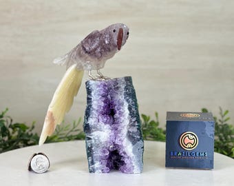 5 pièces d'améthyste violette brute, taille 9-11 mm, pierre précieuse