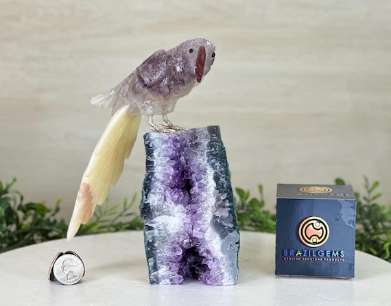 Amethyst Crystal Parrot, Medium Size, Amethyst Base, #3004-AMPAM