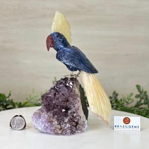 Large Hand-Carved Sodalite Cockatoo 9&quot; Long on an Amethyst Base #3004-SOCAM-046 by Brazil Gems®