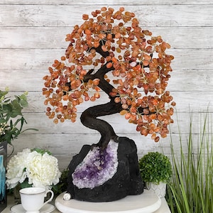 May include: A Carnelian crystal tree with a natural, gnarled wooden trunk and branches. The tree is set in a black base with a large amethyst geode.