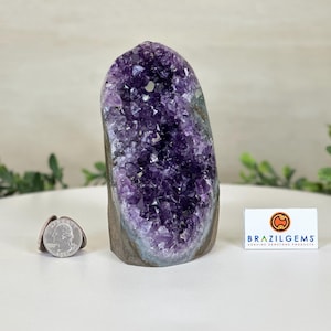Small Extra Plus Quality Amethyst Cluster Flat Base, 5.2&quot; Tall #5611-0872 by Brazil Gems®
