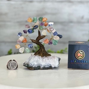 May include: A crystal tree with a variety of colored stones, including amethyst, rose quartz, and clear quartz. The tree is sitting on a white agate base and is surrounded by a white background. The tree is about 6 inches tall.