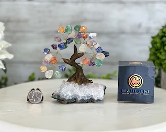 Mixed Gems 5" Tall Gemstone Tree | Crystal Bonsai Tree of Life | Healing Crystal Decor | Feng Shui Gift | Handmade Brazilian Gem Tree