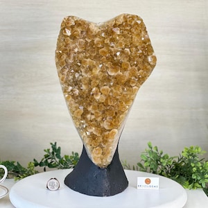 Extra Quality Citrine Cluster on Cement Base, 21.5 lbs and 14.6&quot; Tall #5615-0072 by Brazil Gems®