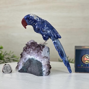 Large Hand-Carved Sodalite Parrot on an Amethyst Base, 6.5&quot; Tall #3004-SOPAM-023 by Brazil Gems®