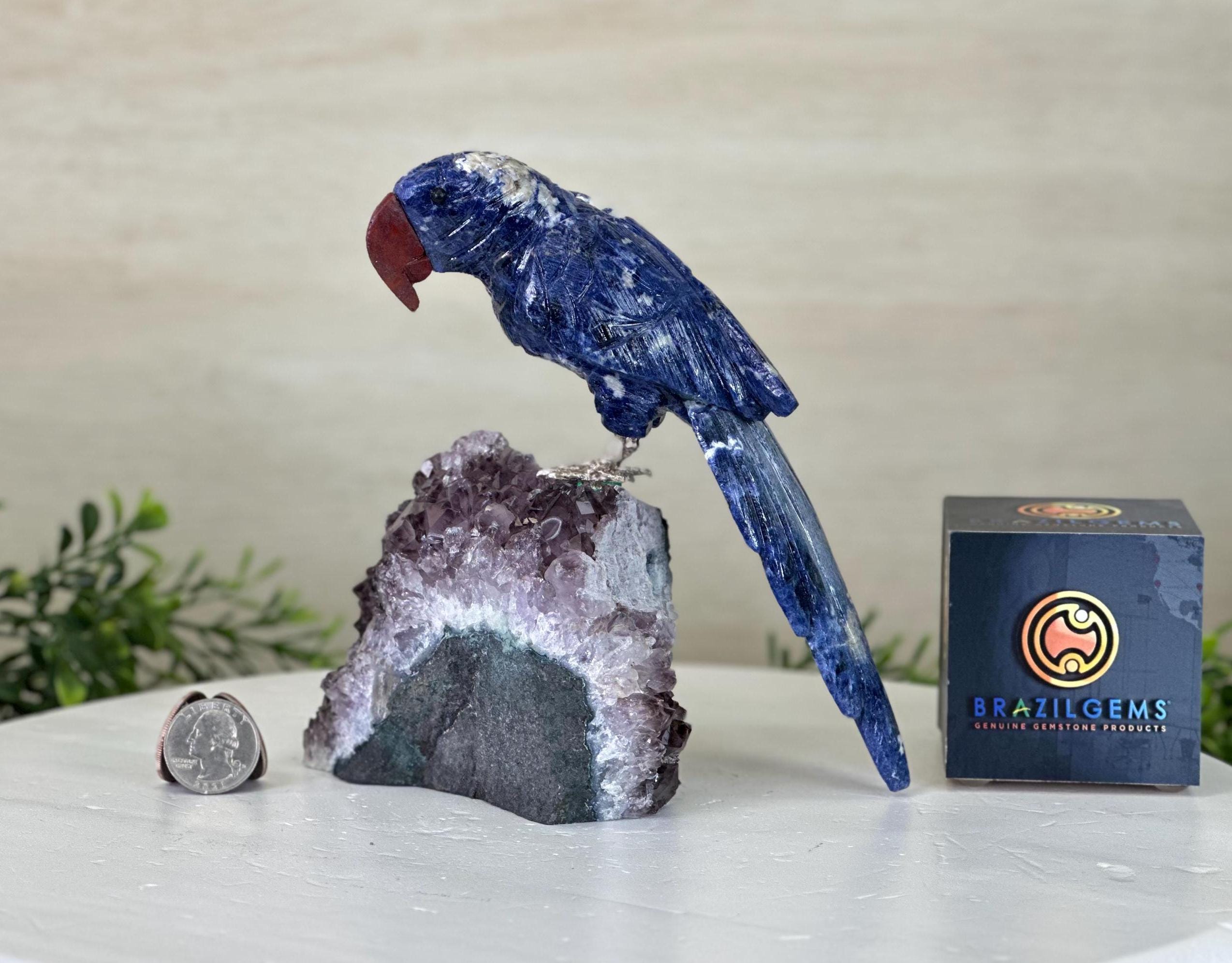 Large Hand-carved Sodalite Parrot on an Amethyst Base, 6.5