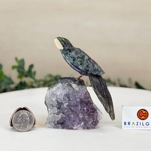 May include: A carved gemstone parrot with green, purple, and black hues perched on a purple amethyst crystal. A quarter coin and a business card with the text "BRAZILGEMS GENUINE GEMSTONE PRODUCTS" are also in the image.