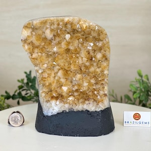 Extra Quality Citrine Cluster on Cement Base, 7.2 lbs and 7.4&quot; Tall #5615-0056 by Brazil Gems®