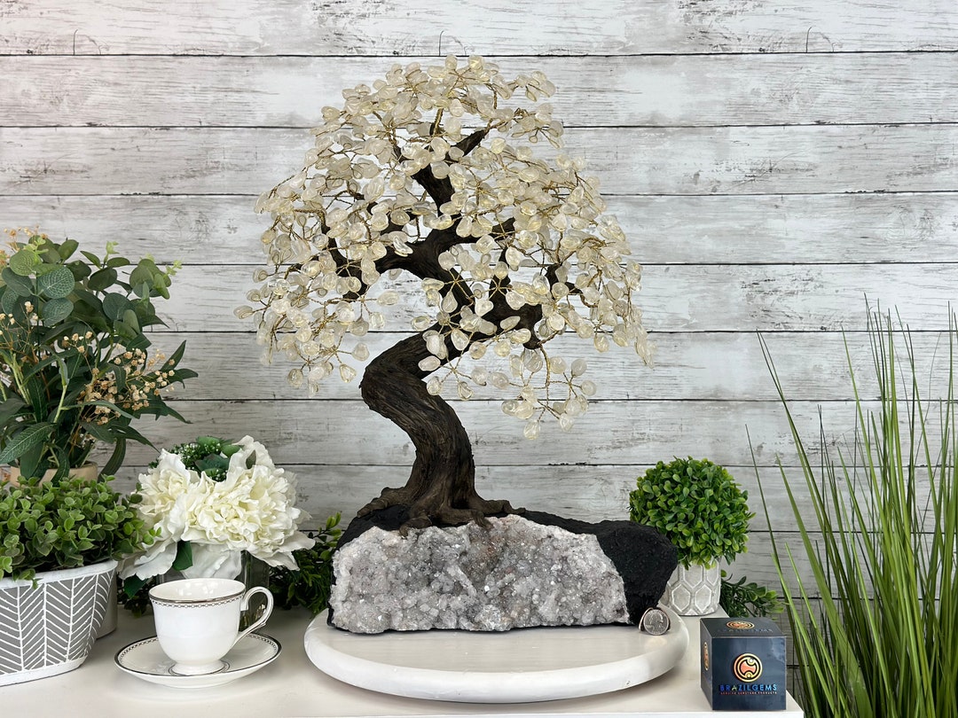 bonsai t shirts Bonsai Tree Half Sleeve T-Shirt  Soul & Peace